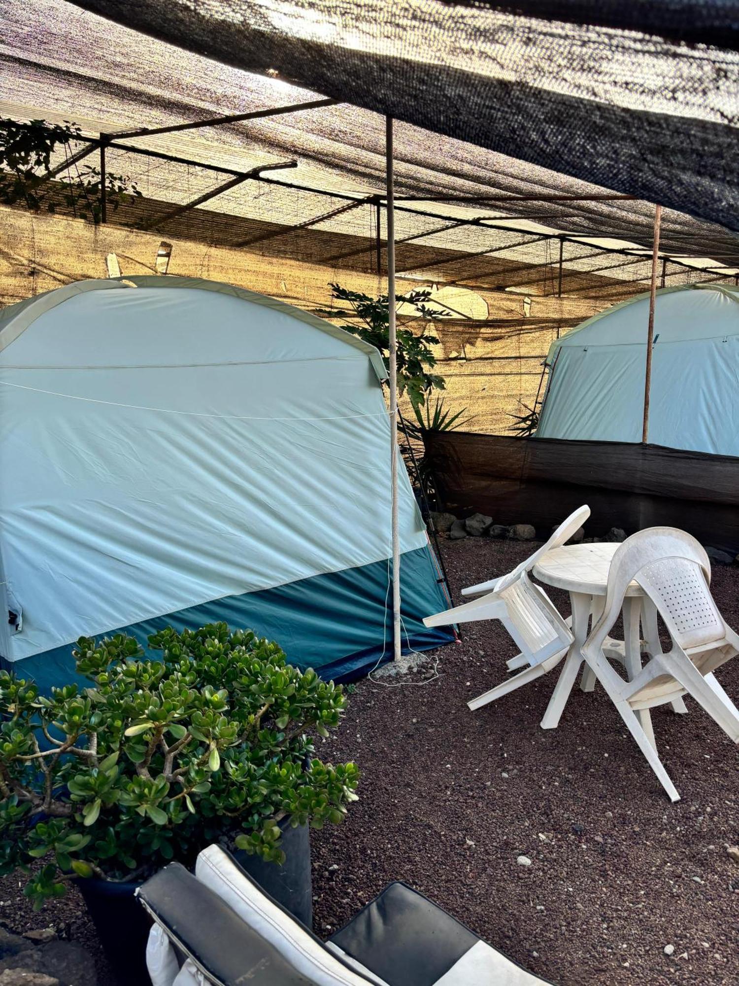 Camping Invernaderito Tejina Exteriör bild